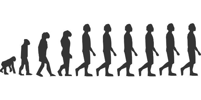 evolución